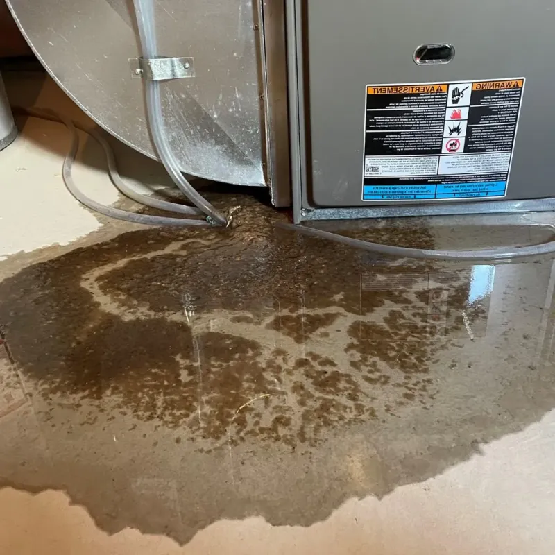 Pipe Burst and Leak Restoration in New Britain, CT